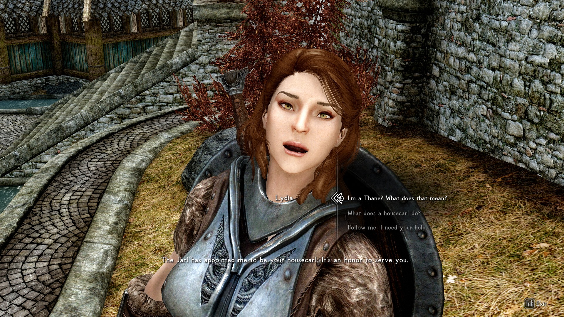 Elder Scrolls V Skyrim 08.02.2017 - 22.55.59.09
