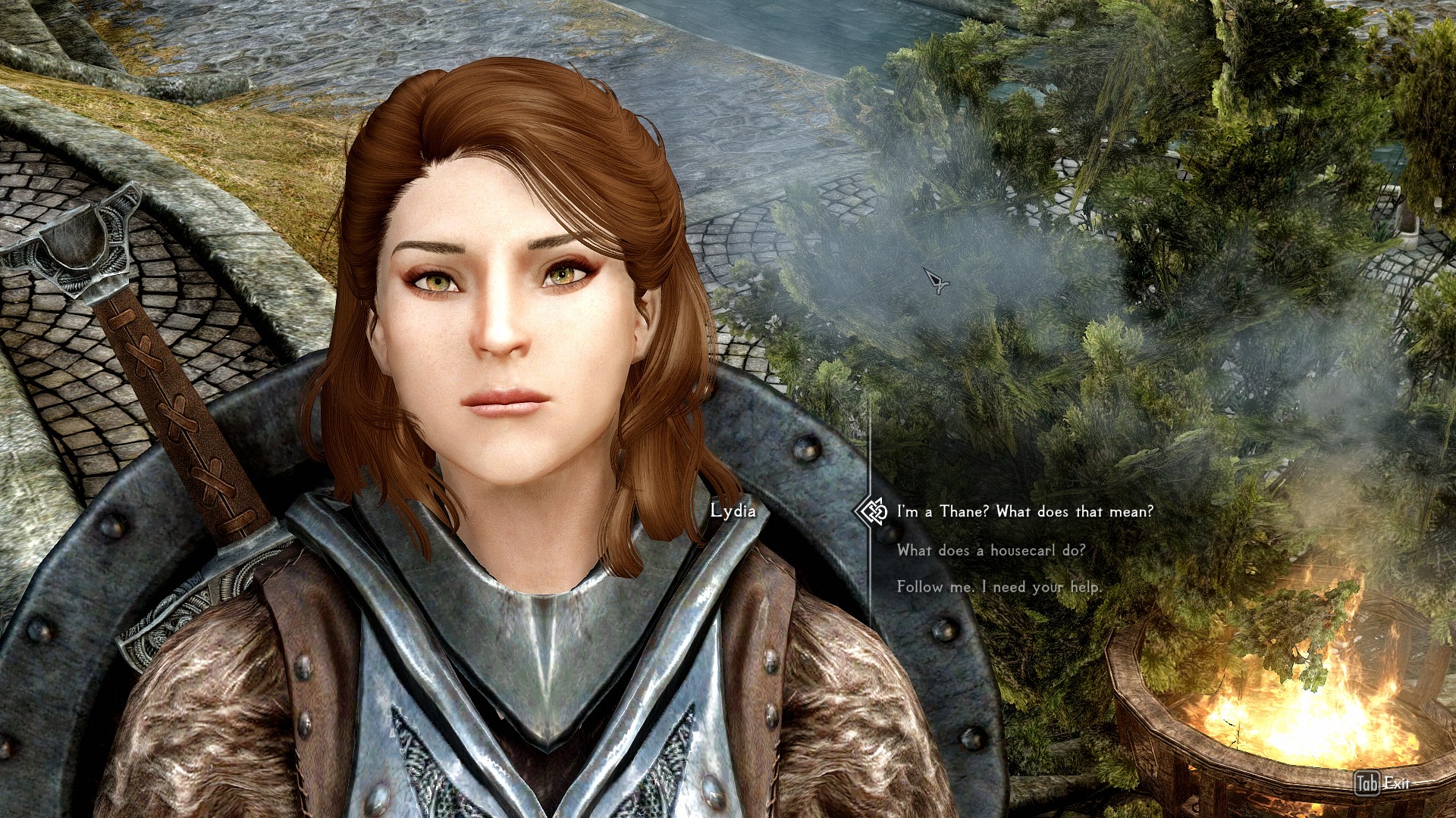 Elder Scrolls V Skyrim 08.02.2017 - 22.56.18.10