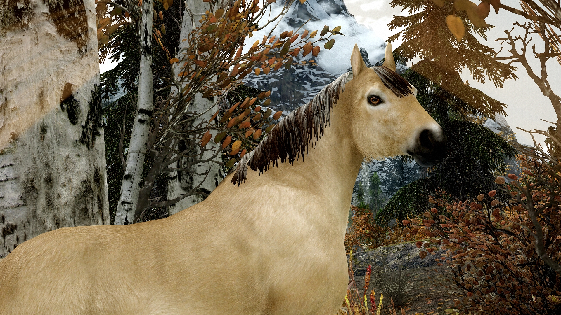 Elder Scrolls V Skyrim Screenshot 2017.11.14 - 22.53.40.32.jpg