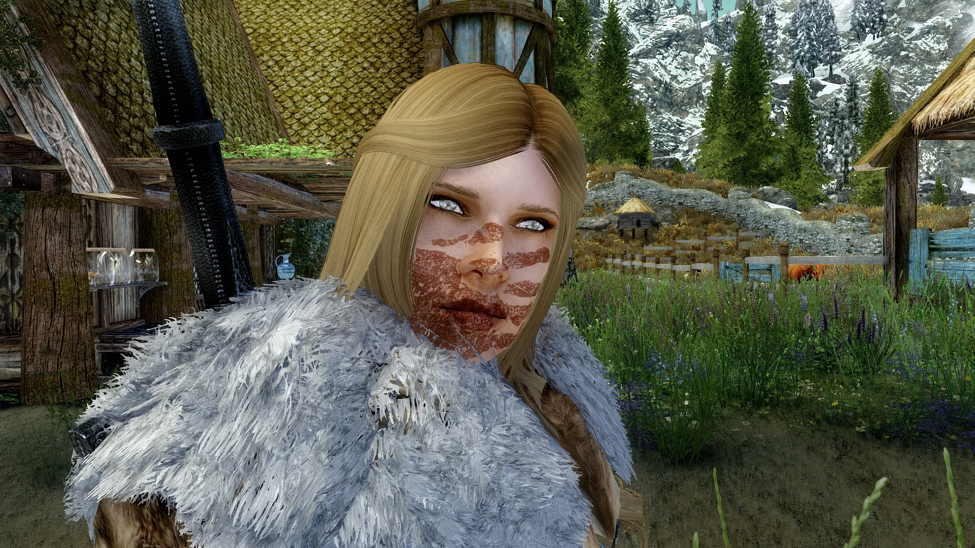 Elder Scrolls V Skyrim Screenshot 2017.11.22 - 14.47.41.10.jpg