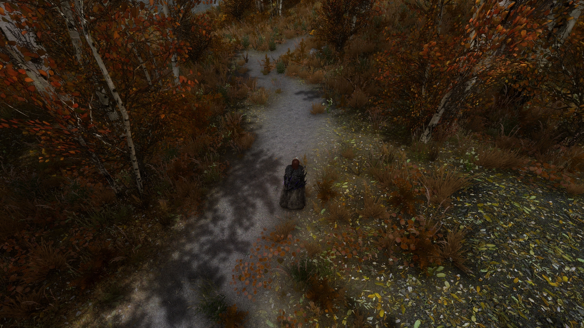 Elder Scrolls V Skyrim Screenshot 2017.11.26 - 18.24.09.48.jpg