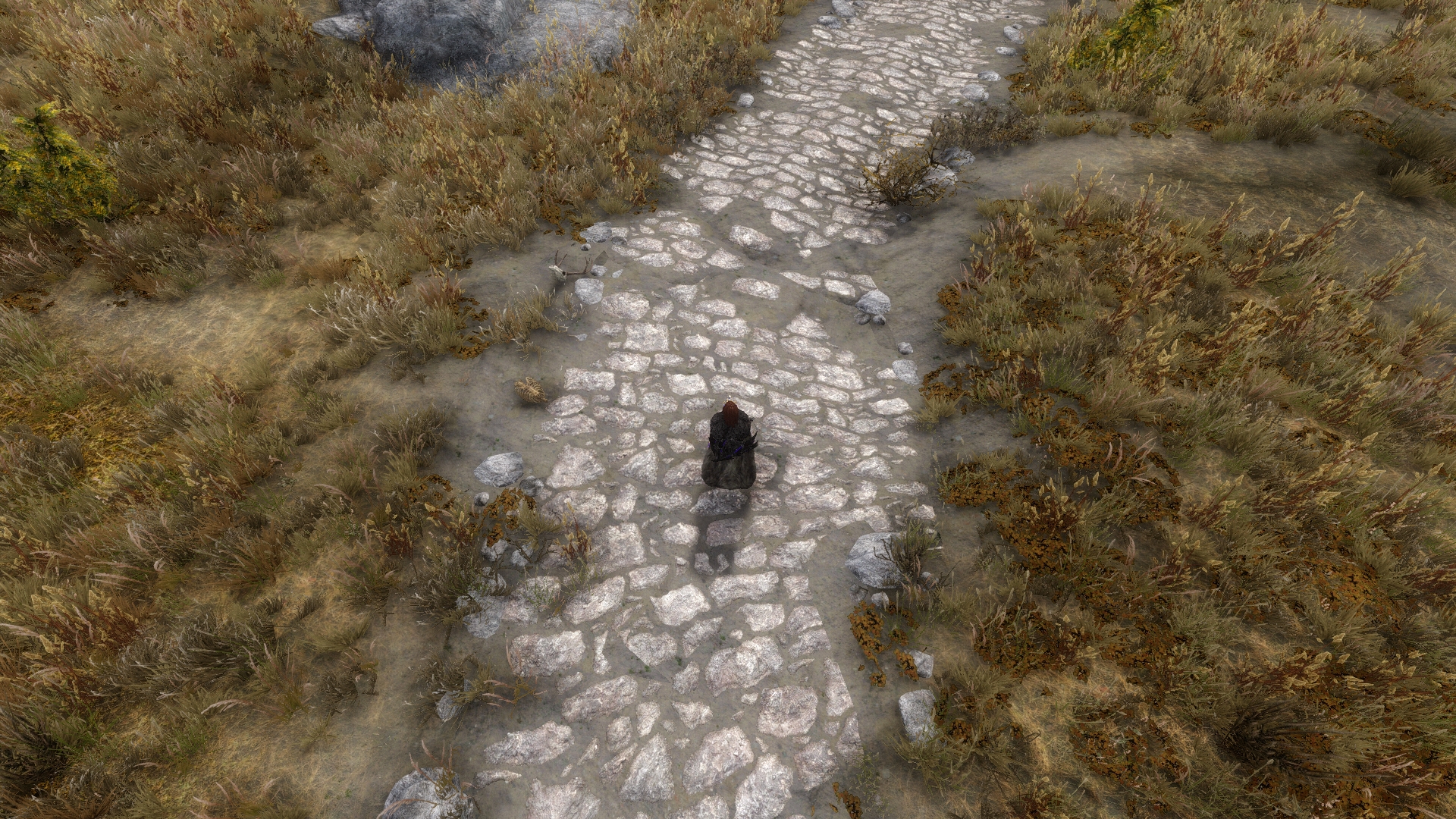 Elder Scrolls V Skyrim Screenshot 2017.11.26 - 18.15.10.33.jpg