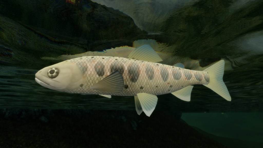 Improved Fish with&nbsp;Fixes